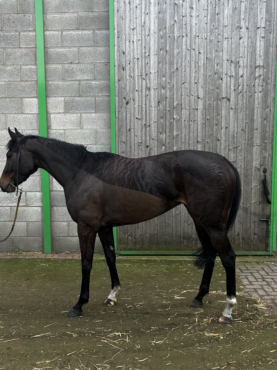 Martyn MacLeod tweet media