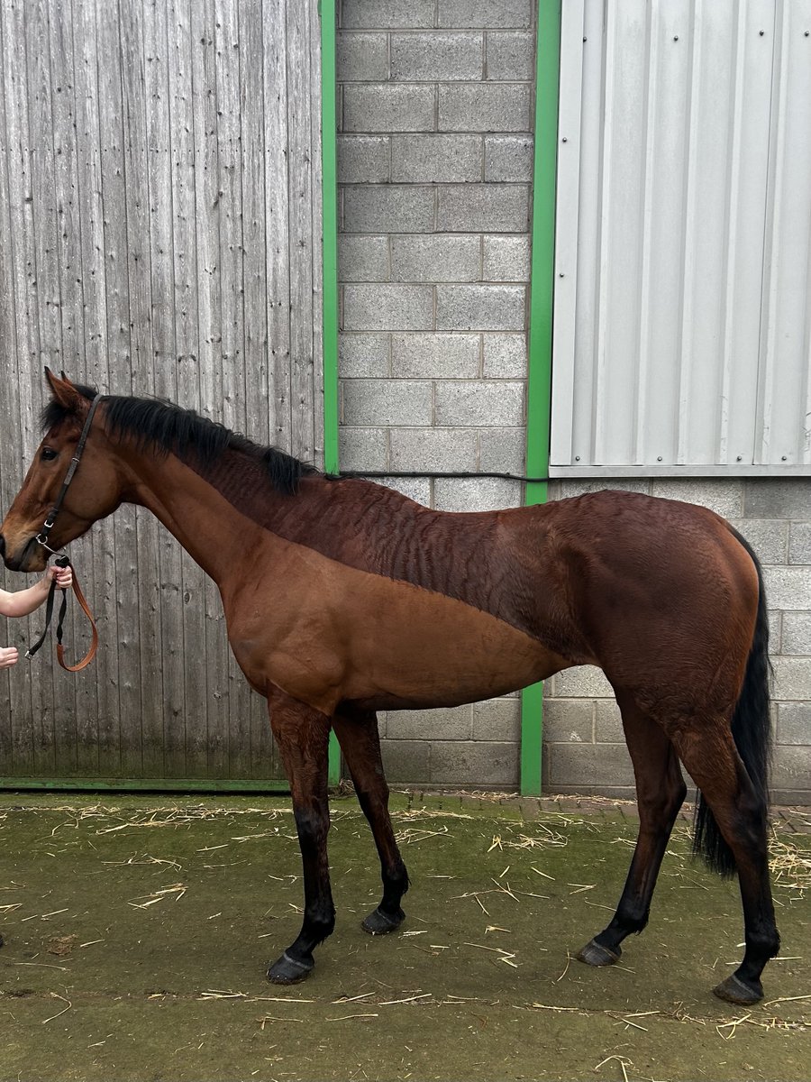 Martyn MacLeod tweet media