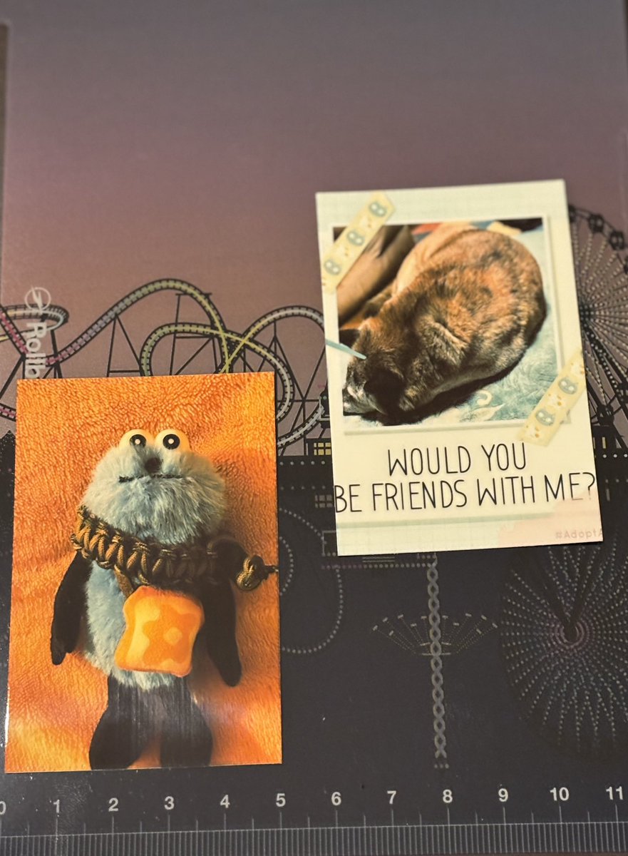 亡き愛犬に似てて拡大してじっくり見ちゃった。 懐かしい感じがしたよ