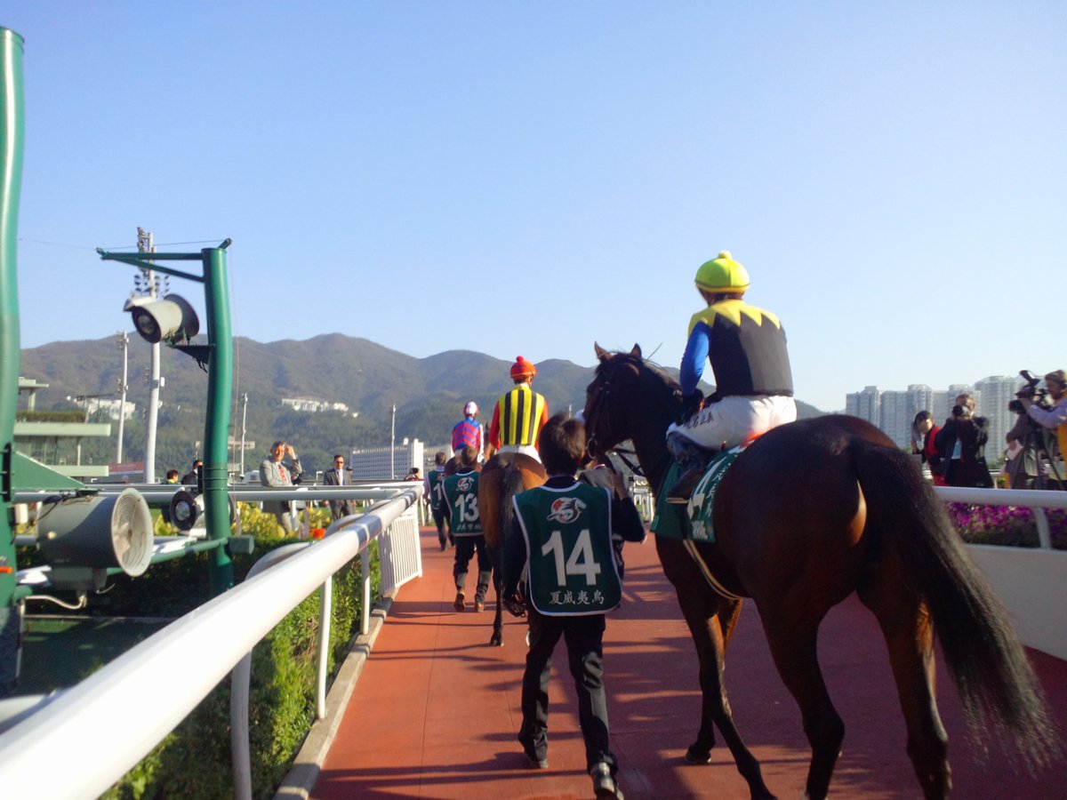 国枝厩舎ラストウィークの出走は14頭 日曜日の中山9レース バード