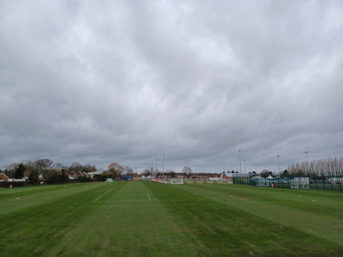 AP grounds tweet media