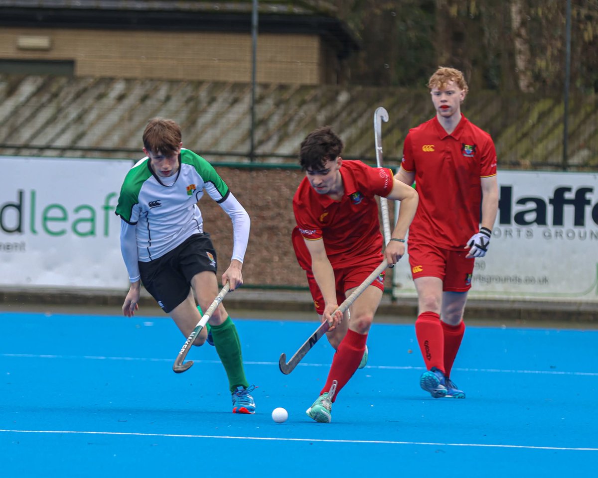 Sullivan Alumni Association tweet media