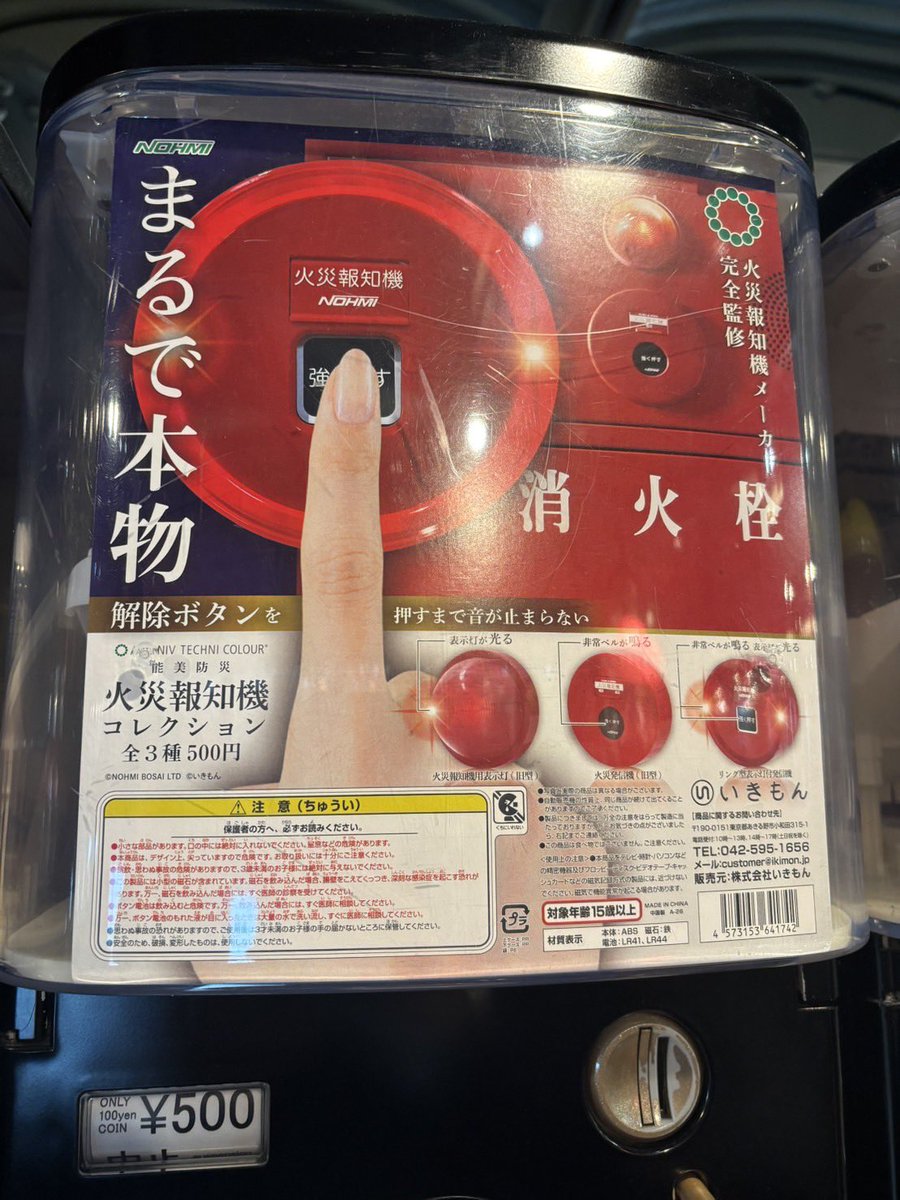 入荷情報／ ケンエレスタンド 横浜赤レンガ倉庫店 ・大陸ガメ-タイ