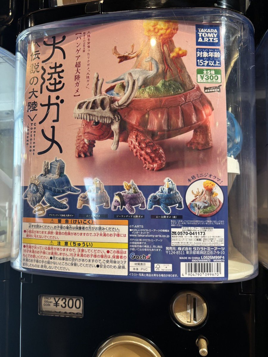 入荷情報／ ケンエレスタンド 横浜赤レンガ倉庫店 ・大陸ガメ-タイ