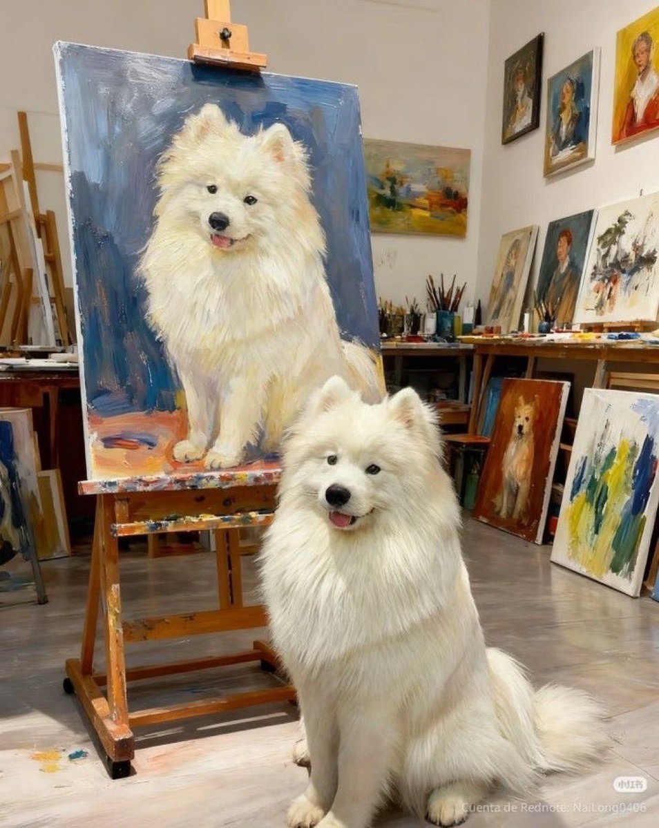 everything dogs 🐶 (@everythingdogss) on Twitter photo 