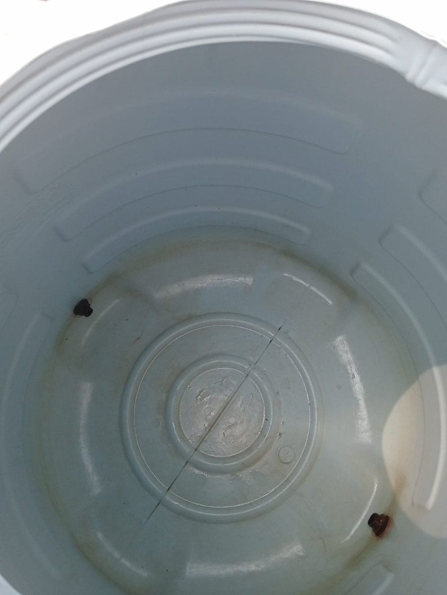 FCI DO MOGA tweet media