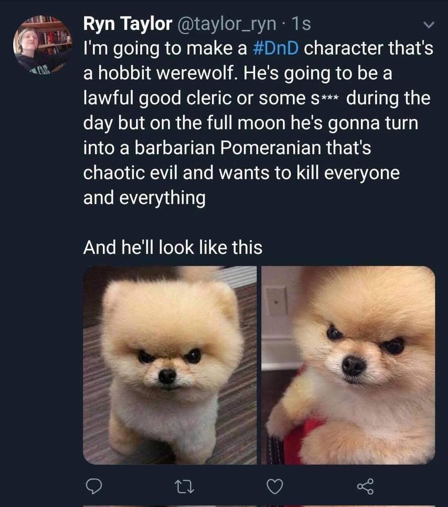 😂😂😂😂😂😂😂