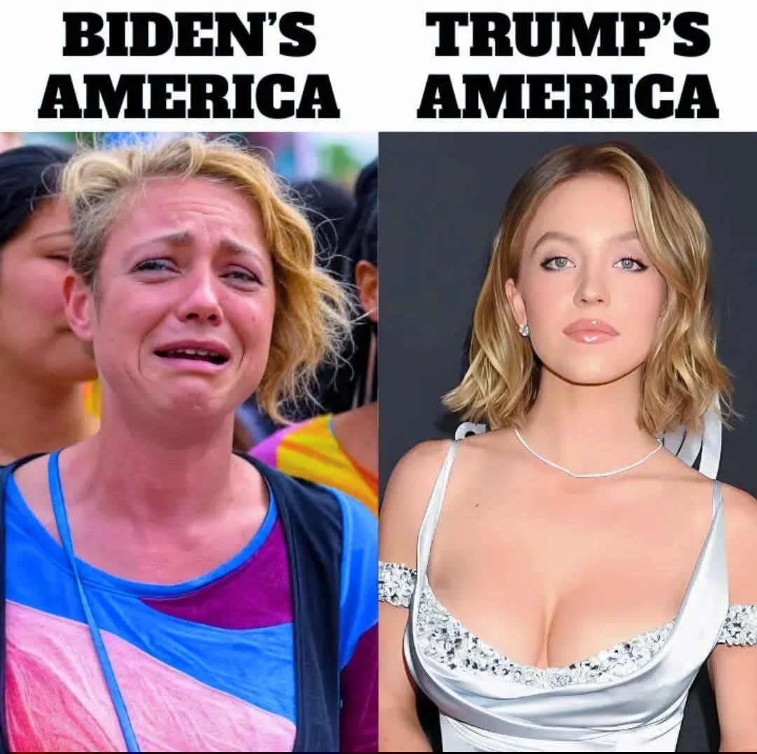 Gunther Eagleman™ tweet media