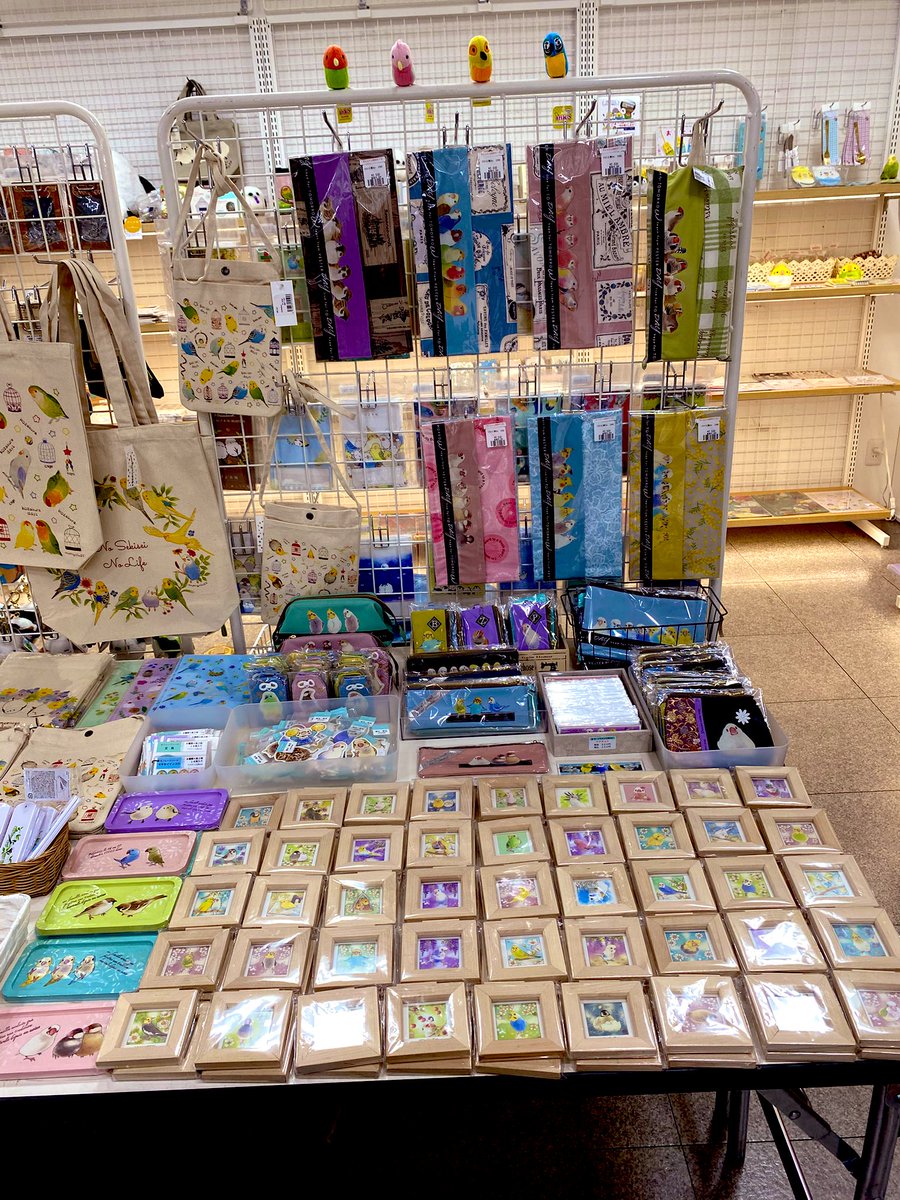 株式会社ことりカフェ【公式】鳥フェス広島4/4-5 tweet media