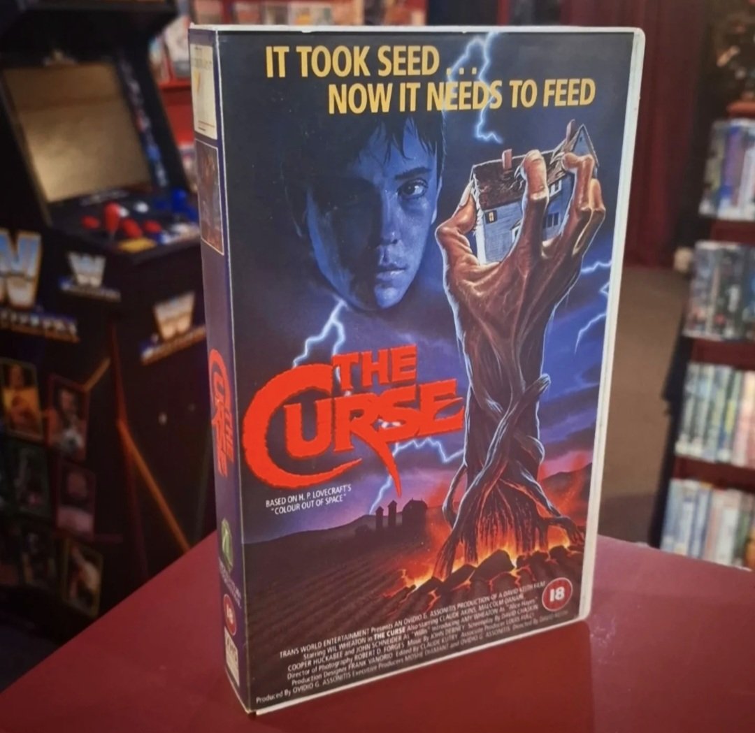 80s Video Shop tweet media