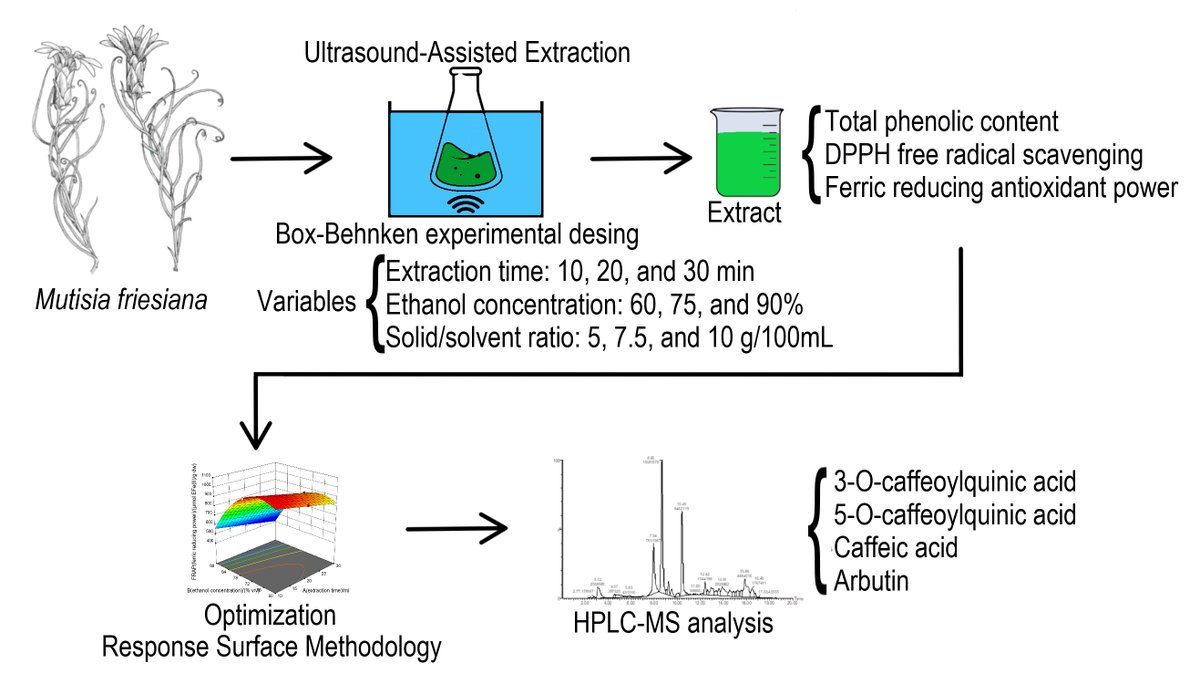 RevFCAUNCuyo's tweet photo. Nuevo artículo publicado "En prensa" 👇

Optimization of Antioxidant Extraction from Mutisia friesiana, Native Plant of the Quebrada and Puna Regions of… https://t.co/hTKX0WpUeh https://t.co/UOweBIdsDj