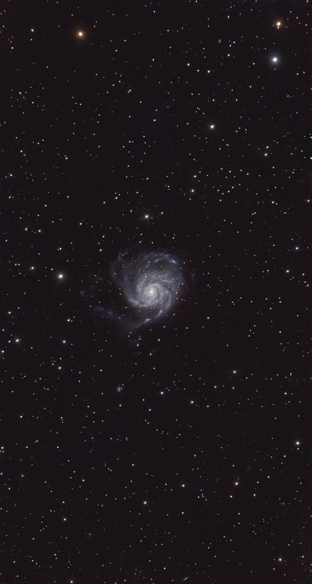 Scotia Astro tweet media