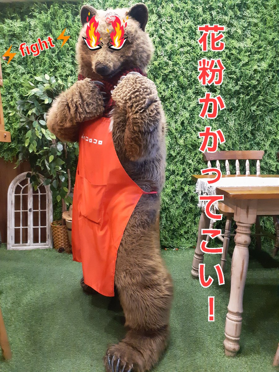 こんばんは✨町じょうコトこまちです🐦️ﾍﾟﾖｯ

明日2/27(金)は森のコロコロカフェ営業日です☕🧸

『ヤツ』が…静かに、確実に近づいています…！！
森じょうと町じょうは今からおびえています
ｸﾙｿﾞヽ(ﾟдﾟヽ)(ﾉﾟдﾟ)ﾉ ｸﾙｿﾞ

そう、ヤツの名は………

『花粉』

🌼👃🤣