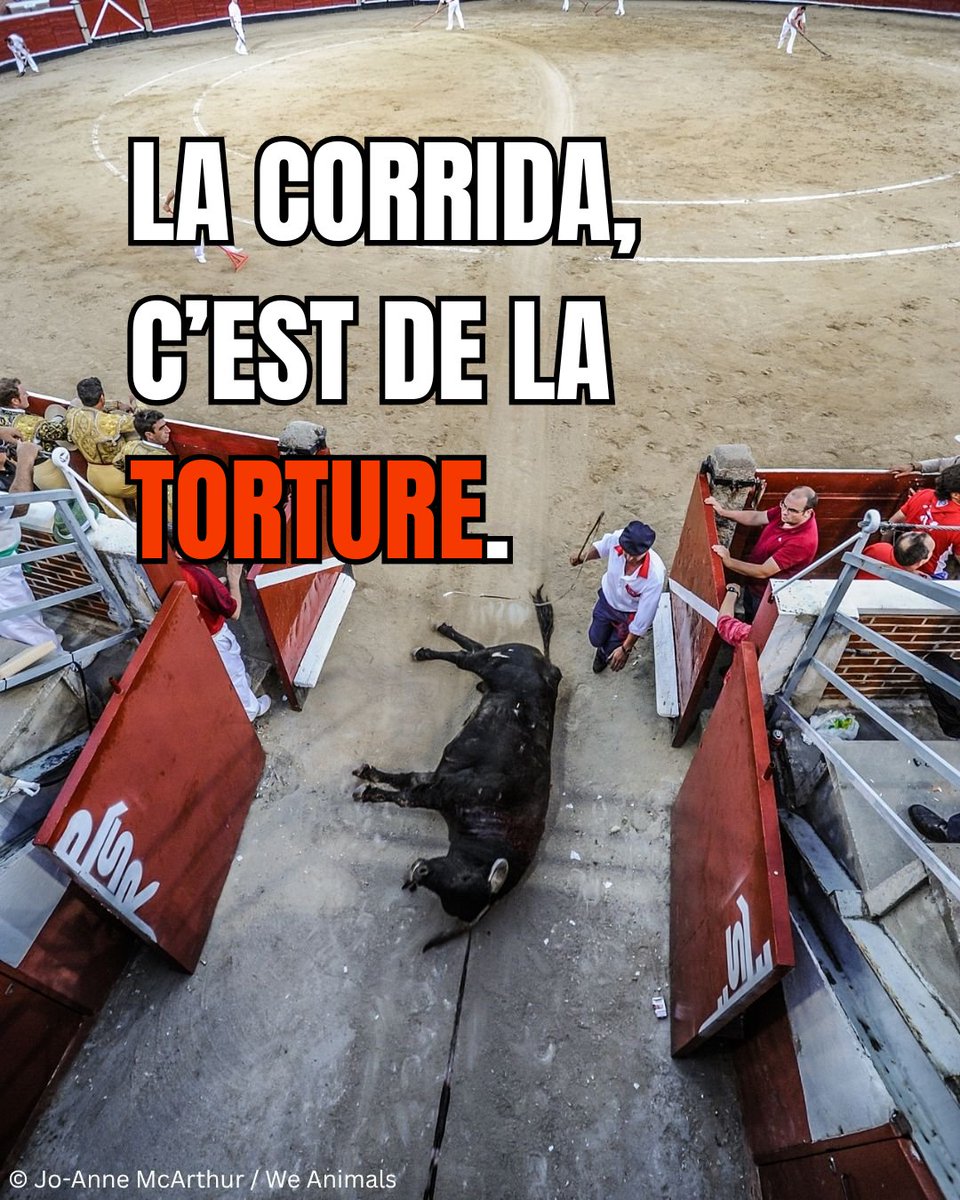 Les taureaux méritent de vivre, pas une condamnation à mort dans une arène. 🐂😡
REPOSTEZ pour aider à interdire la corrida.