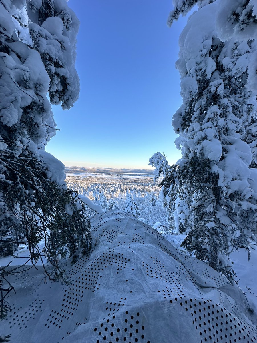 Kimmo Nordberg tweet media