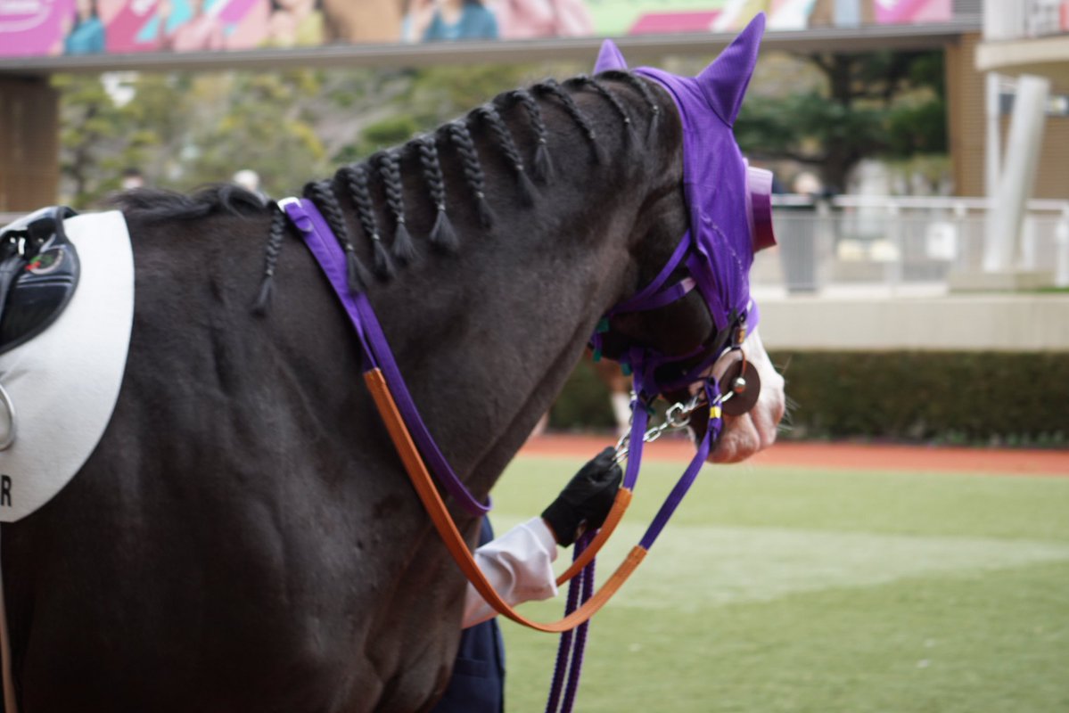 帰るお！ やっぱり馬も人も近くで見れるパドック好きだな〜☺️ 同じ