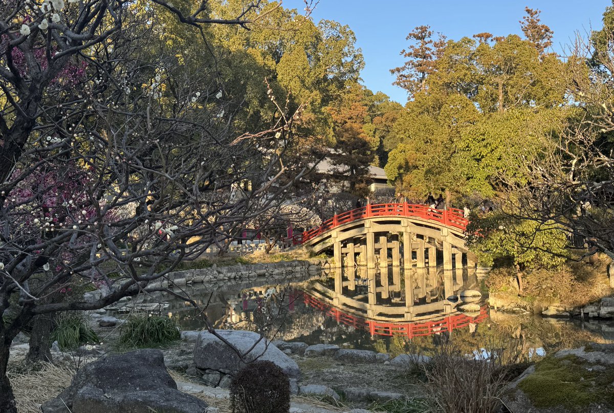 ゾンサブ子 tweet media