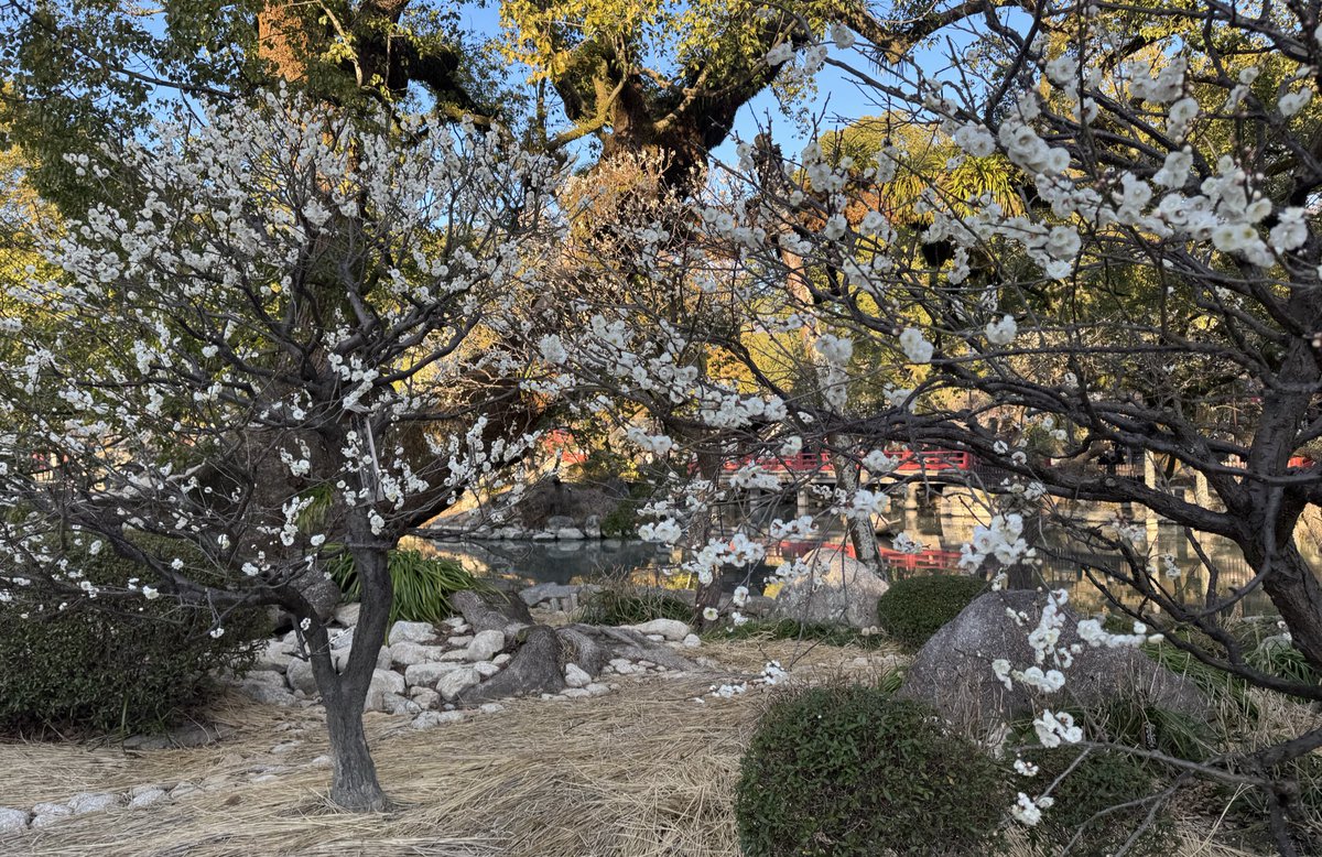 ゾンサブ子 tweet media