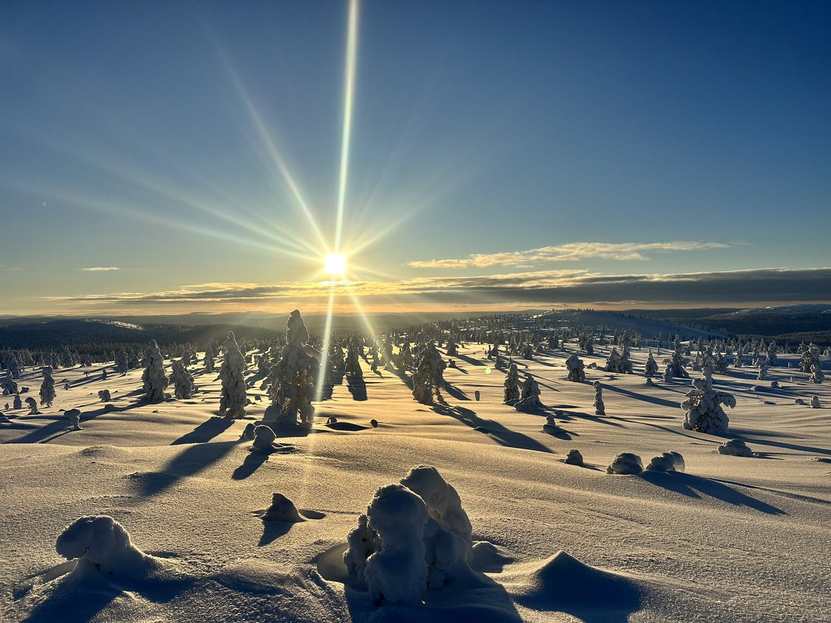 Kimmo Nordberg tweet media