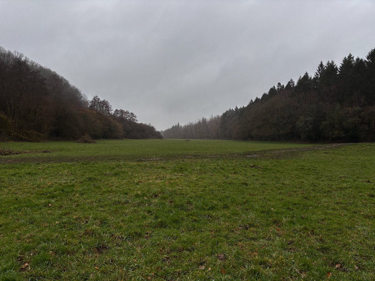 girlnthewoods's tweet photo. today i woke up and went on an almost 4 hour long walk 🦌 https://t.co/I6Z6PepFkc