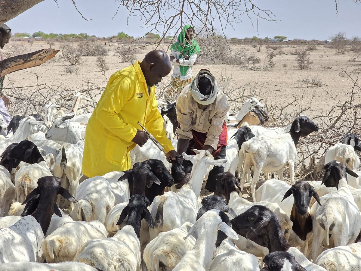 PNTVAfrica tweet media