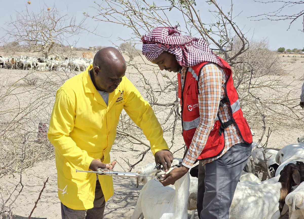 PNTVAfrica tweet media