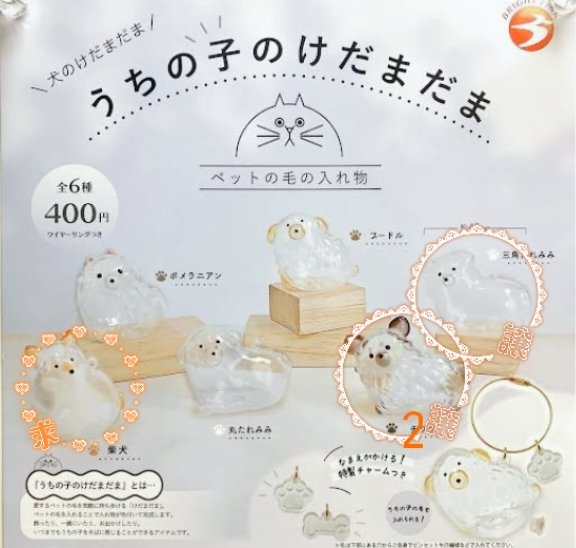 M(取引垢)ツイフィ有/毎週水曜日発送 tweet media