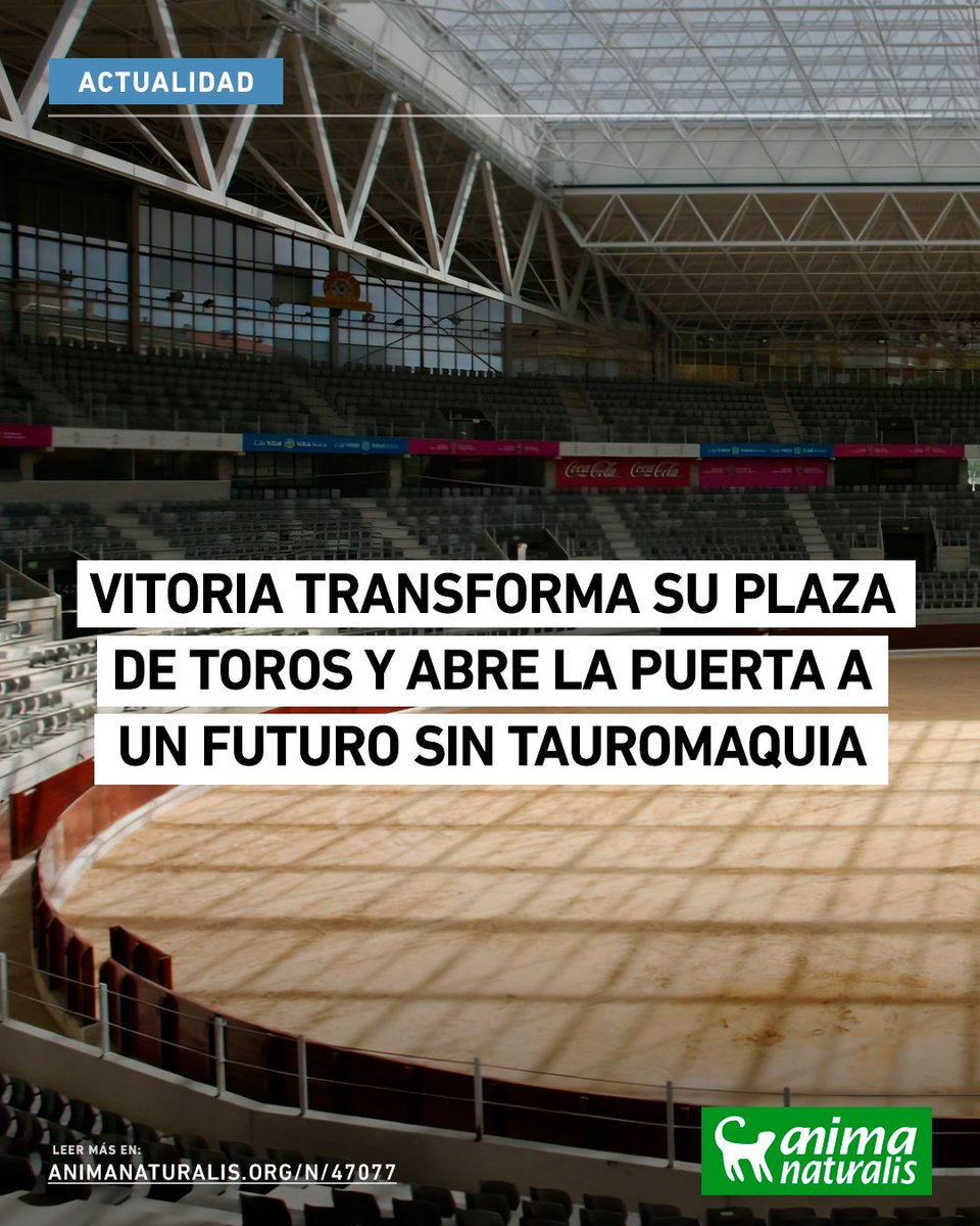 🟢🐂 BUENAS NOTICIAS | El Ayuntamiento de Vitoria-Gasteiz (País Vasco, España) ha iniciado los trámites para transformar el Iradier Arena en un espacio cultural multiusos que eliminará toda infraestructura ligada a la tauromaquia. 

🗞 Noticia completa: animanaturalis.org/n/47077