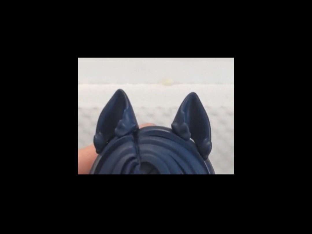 따로 주문도 안 했는데 강아 귀 만들어준 거 진짜예요?