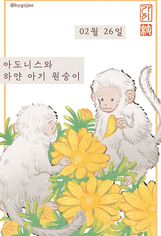 2월 26일의 탄생화 아도니스와 하얀 아기 원숭이🐵