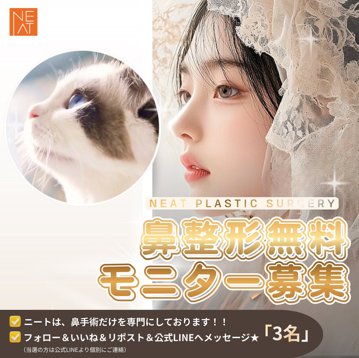 NEAT美容外科🐱コニャン手術 tweet media
