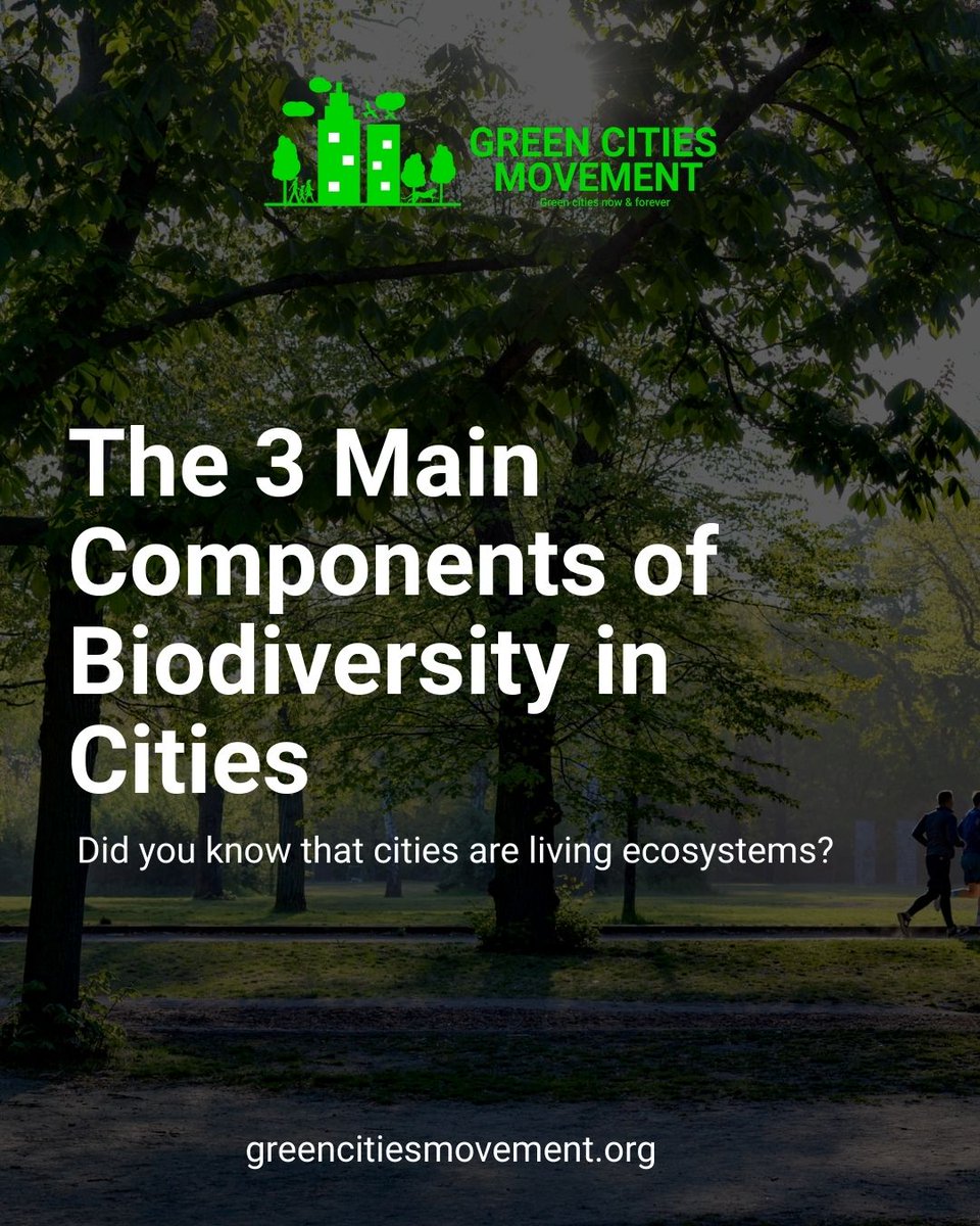 greencitiesmvt's tweet photo. The 3 main components of biodiversity in cities. 
Read full post at https://t.co/Yq1veOE8oP 
#greencitiesmovement #biodiversity #citybiodiversity https://t.co/xbI29Ioj08