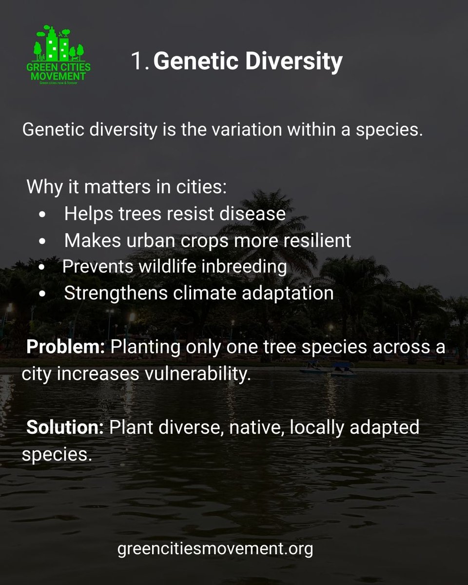 greencitiesmvt's tweet photo. The 3 main components of biodiversity in cities. 
Read full post at https://t.co/Yq1veOE8oP 
#greencitiesmovement #biodiversity #citybiodiversity https://t.co/xbI29Ioj08