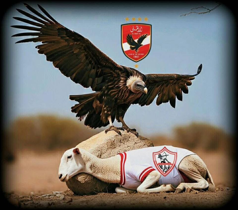 NaserHelal12's tweet photo. @JhATyP8dN3lcwZY @AlAhlyTV https://t.co/hYBmoWA2qS