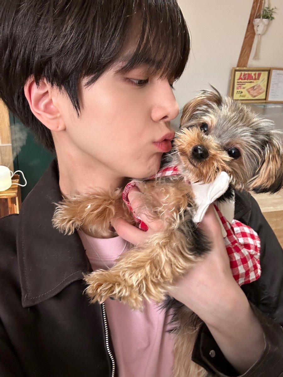 요키🐶: 대장. 말로해💦