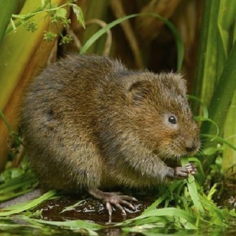 Natural England tweet media