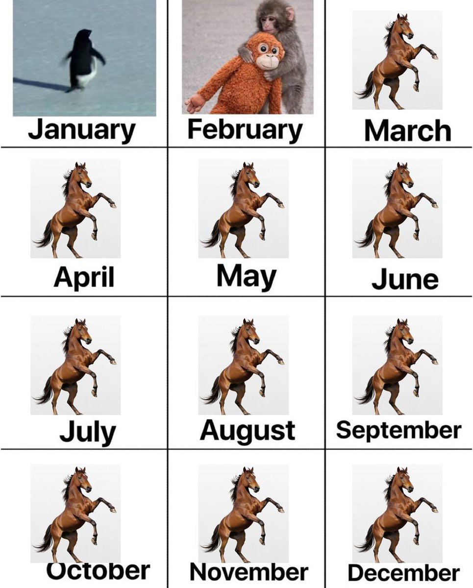 Penguin was the talk of January, Punch was the talk of February and Solbiscuit will be the talk of March and the rest of the year 🐎

The lore on Solbiscuit cannot be matched!

$Penguin $Punch $Pippkin $Solbiscuit