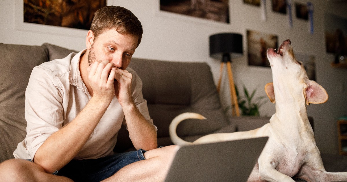 Asthma + Lung UK tweet media