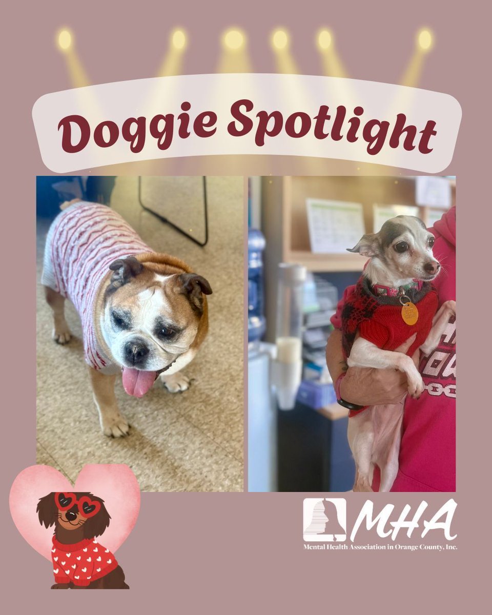 MHA in Orange County tweet media