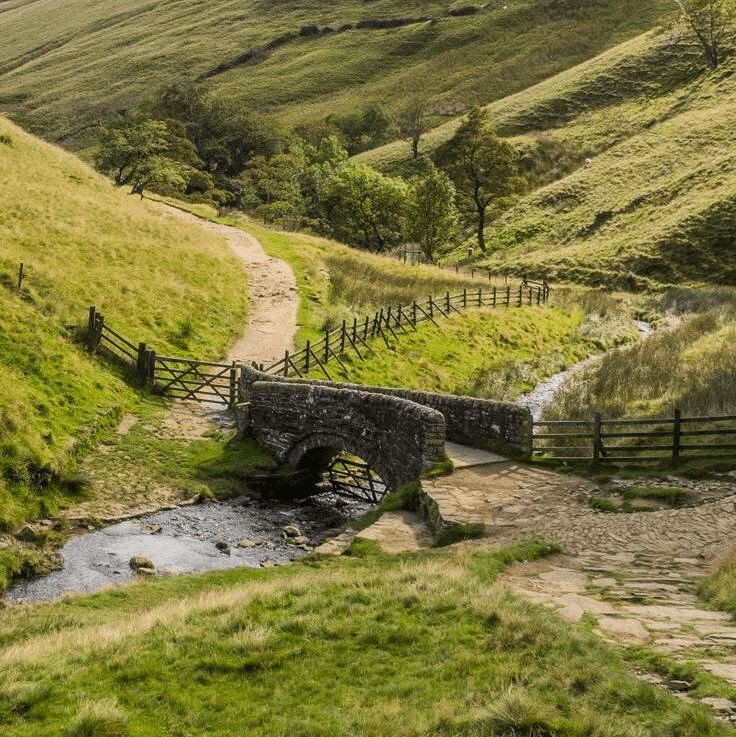 MozartCultures's tweet photo. english countryside in spring https://t.co/Fr2mJwGGTw