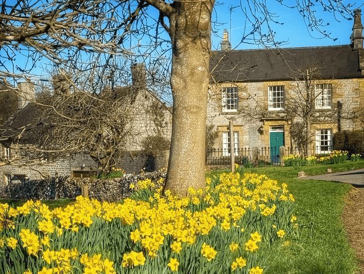 MozartCultures's tweet photo. english countryside in spring https://t.co/Fr2mJwGGTw