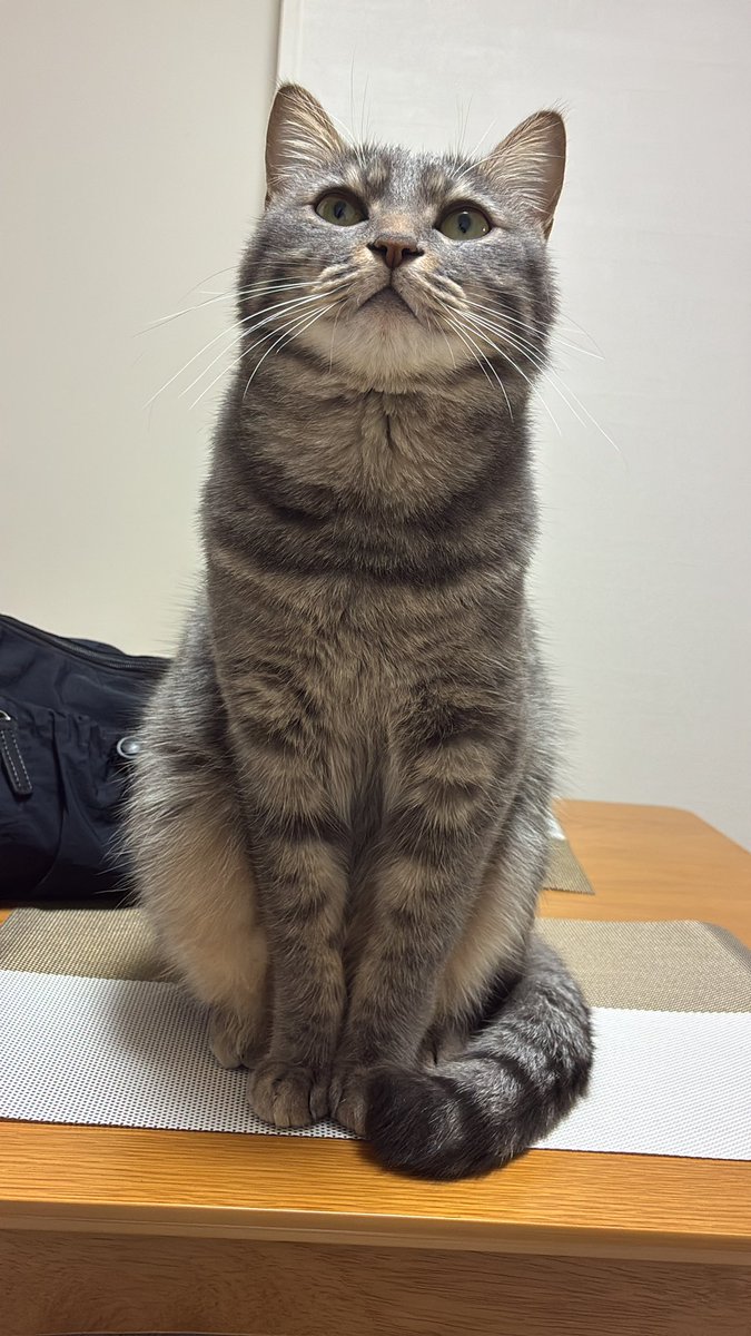 ﾋ ﾋﾞｷ tweet media