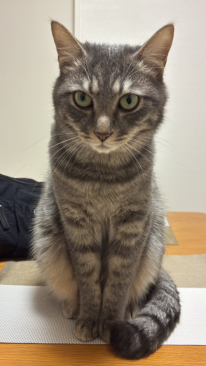 ﾋ ﾋﾞｷ tweet media