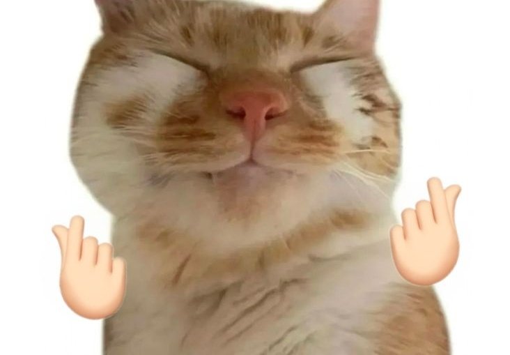 Museum Ciawi. tweet media