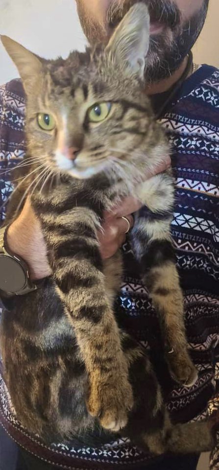 آهیمسا tweet media