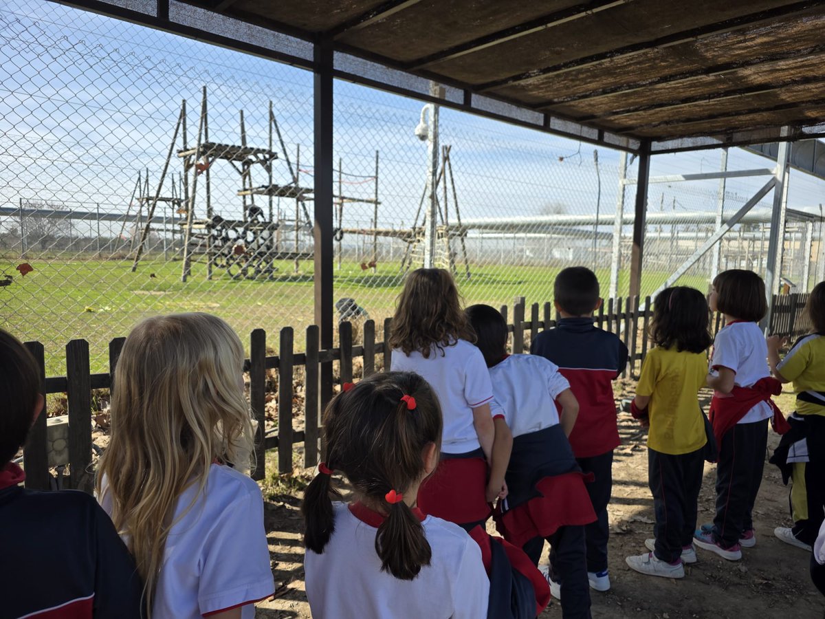 Salesianos Guadalajara tweet media