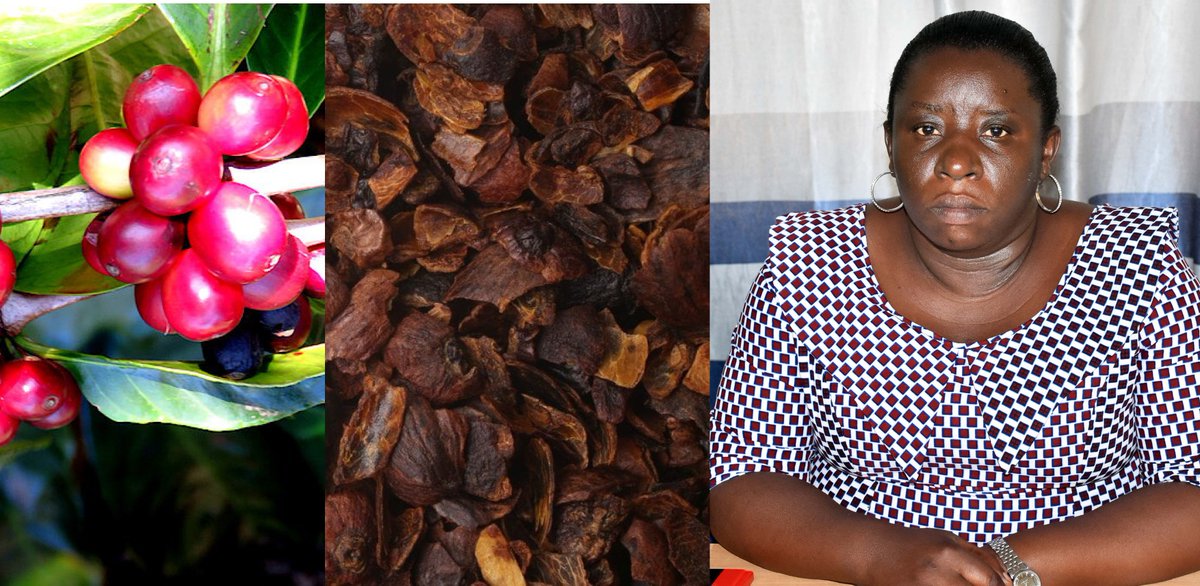 UR Sweden Programme tweet media