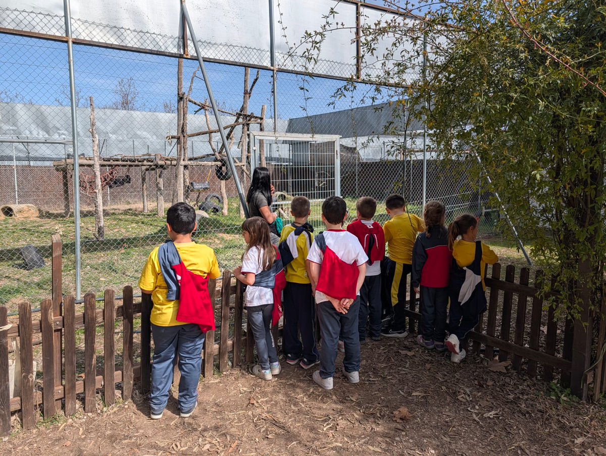 Salesianos Guadalajara tweet media