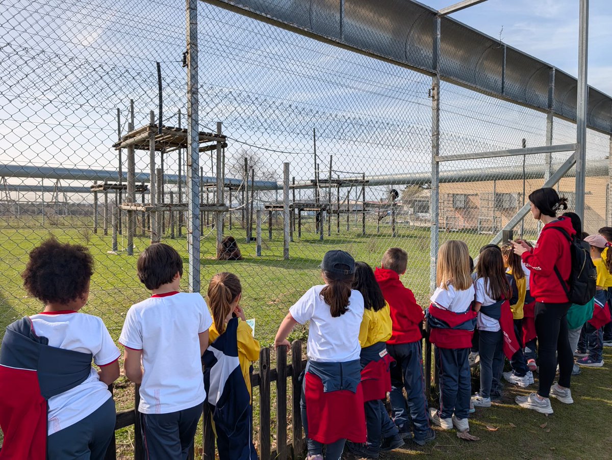 Salesianos Guadalajara tweet media