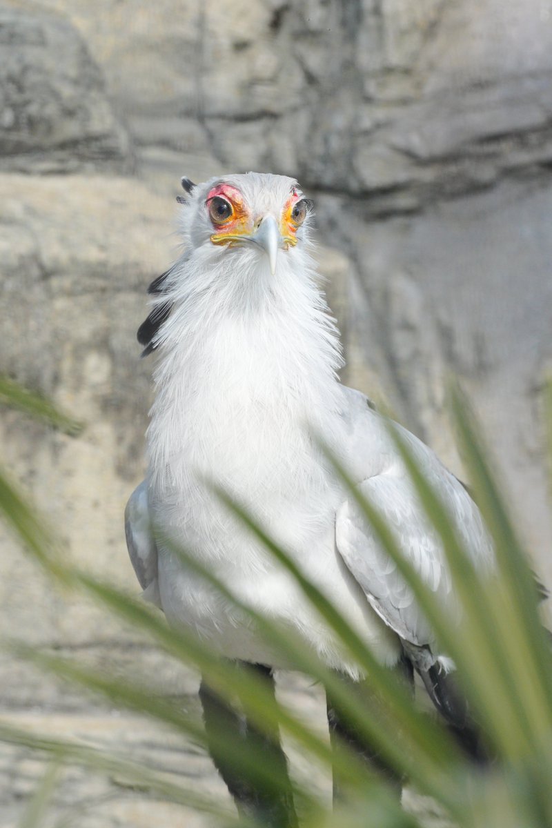 さんと (@3jino1) / Posts / X